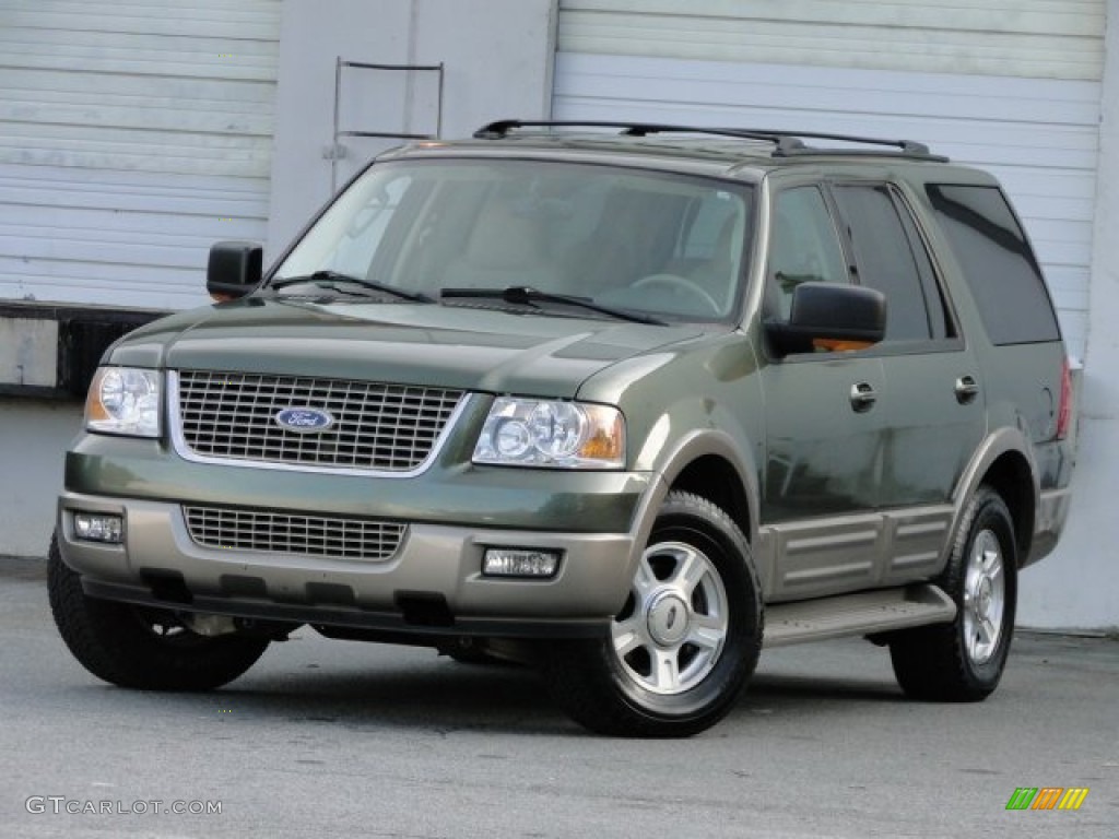 2003 Expedition Eddie Bauer - Estate Green Metallic / Medium Parchment photo #1