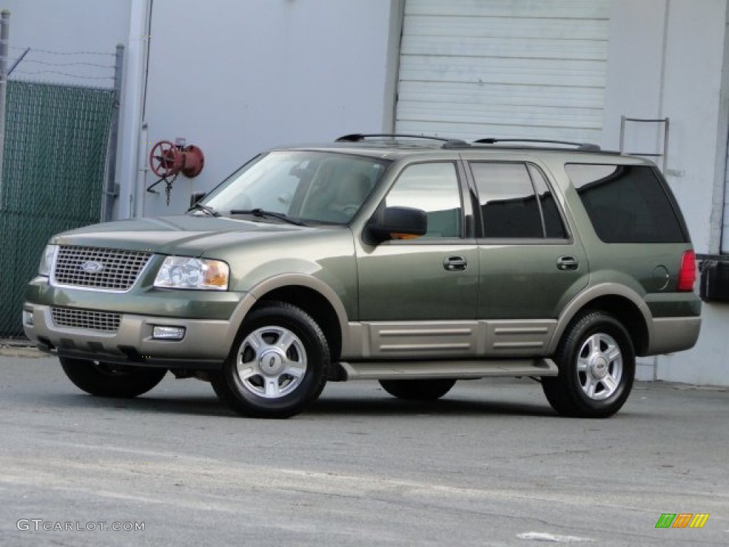 2003 Expedition Eddie Bauer - Estate Green Metallic / Medium Parchment photo #2