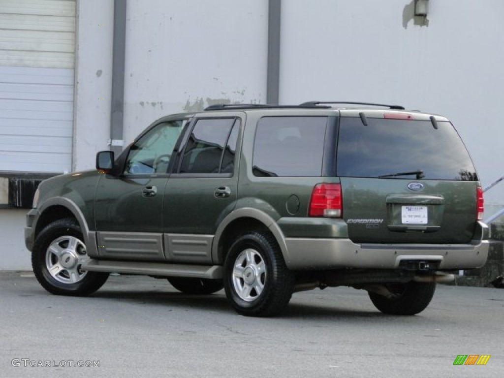 2003 Expedition Eddie Bauer - Estate Green Metallic / Medium Parchment photo #3
