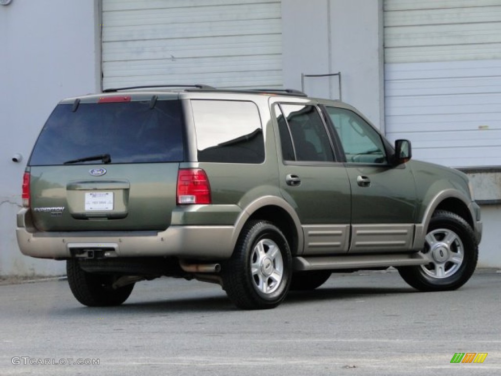 2003 Expedition Eddie Bauer - Estate Green Metallic / Medium Parchment photo #4