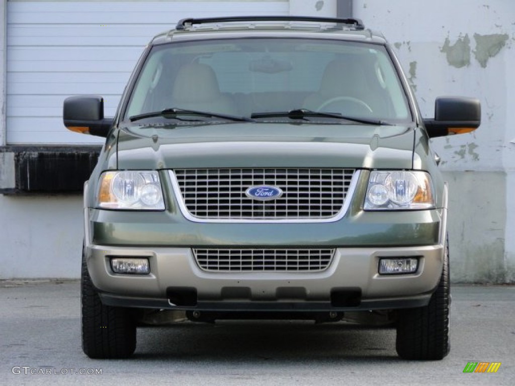 2003 Expedition Eddie Bauer - Estate Green Metallic / Medium Parchment photo #5