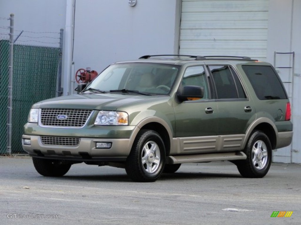 2003 Expedition Eddie Bauer - Estate Green Metallic / Medium Parchment photo #10