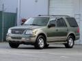 2003 Estate Green Metallic Ford Expedition Eddie Bauer  photo #10