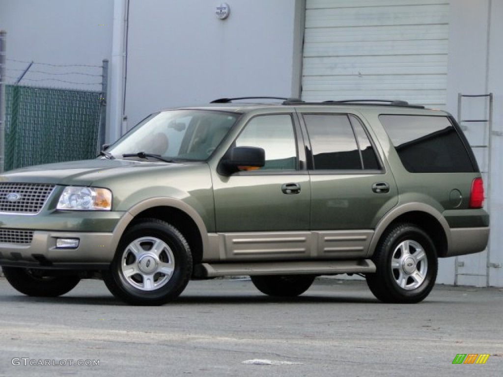 2003 Expedition Eddie Bauer - Estate Green Metallic / Medium Parchment photo #11
