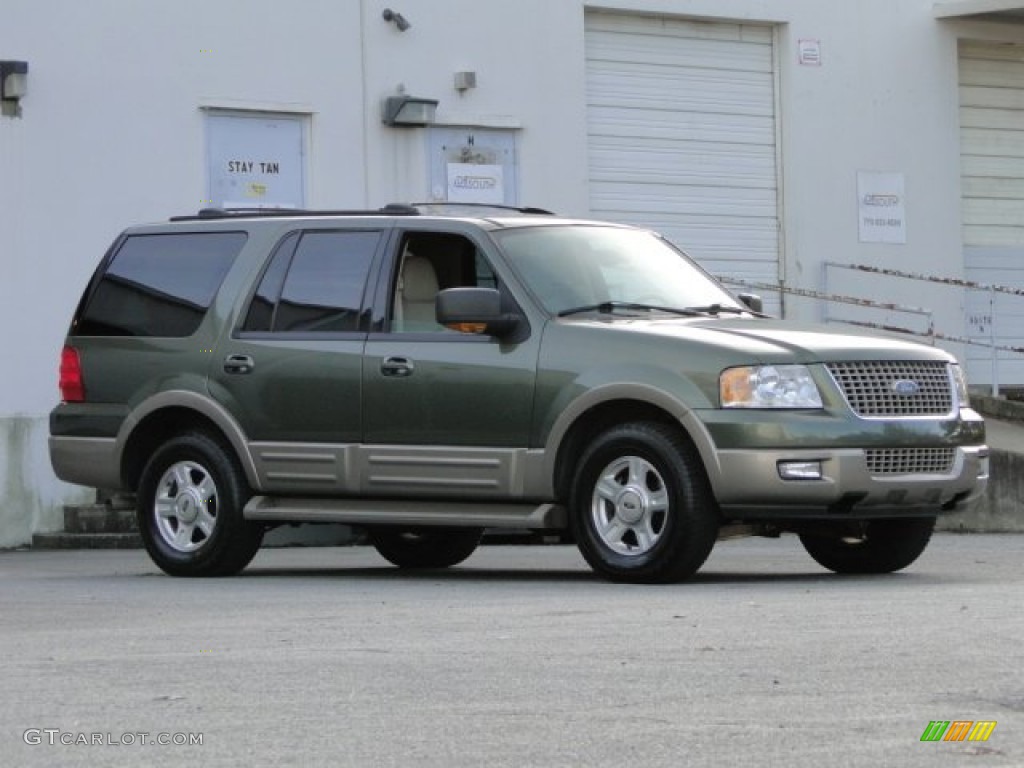 2003 Expedition Eddie Bauer - Estate Green Metallic / Medium Parchment photo #12