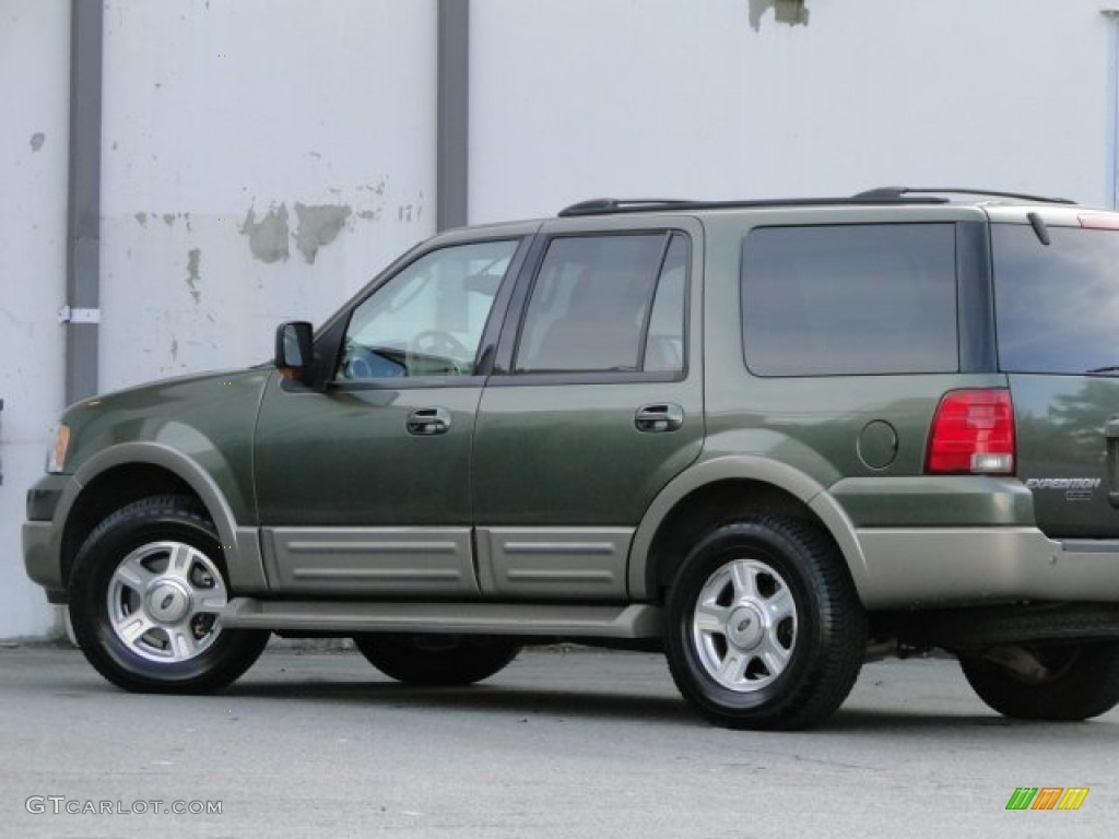 2003 Expedition Eddie Bauer - Estate Green Metallic / Medium Parchment photo #13
