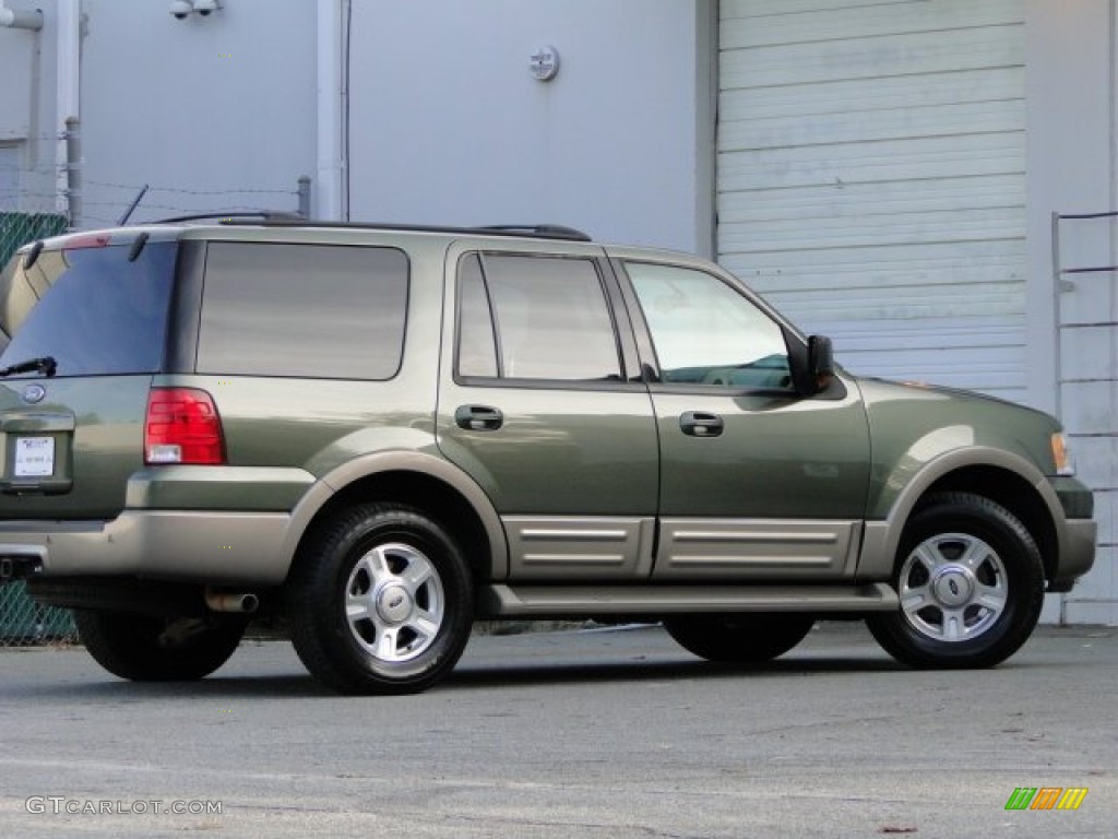 2003 Expedition Eddie Bauer - Estate Green Metallic / Medium Parchment photo #14