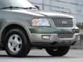 2003 Estate Green Metallic Ford Expedition Eddie Bauer  photo #15