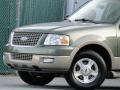 2003 Estate Green Metallic Ford Expedition Eddie Bauer  photo #16