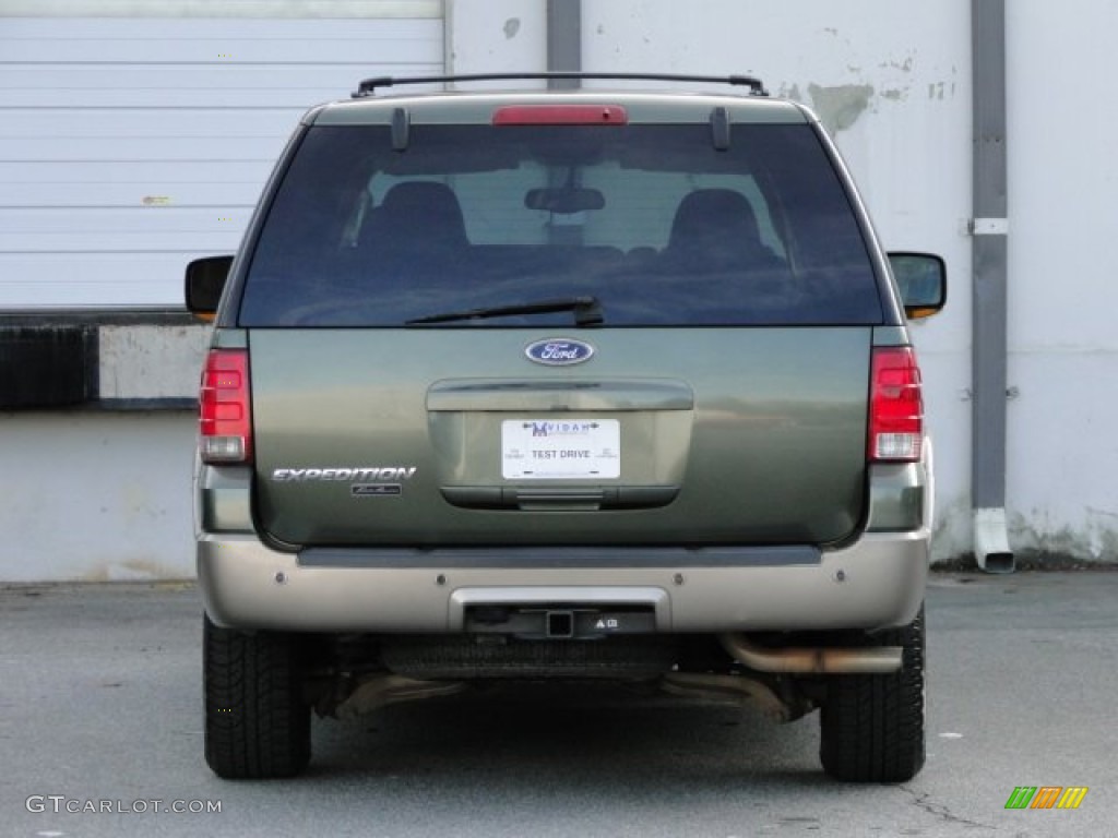 2003 Expedition Eddie Bauer - Estate Green Metallic / Medium Parchment photo #17