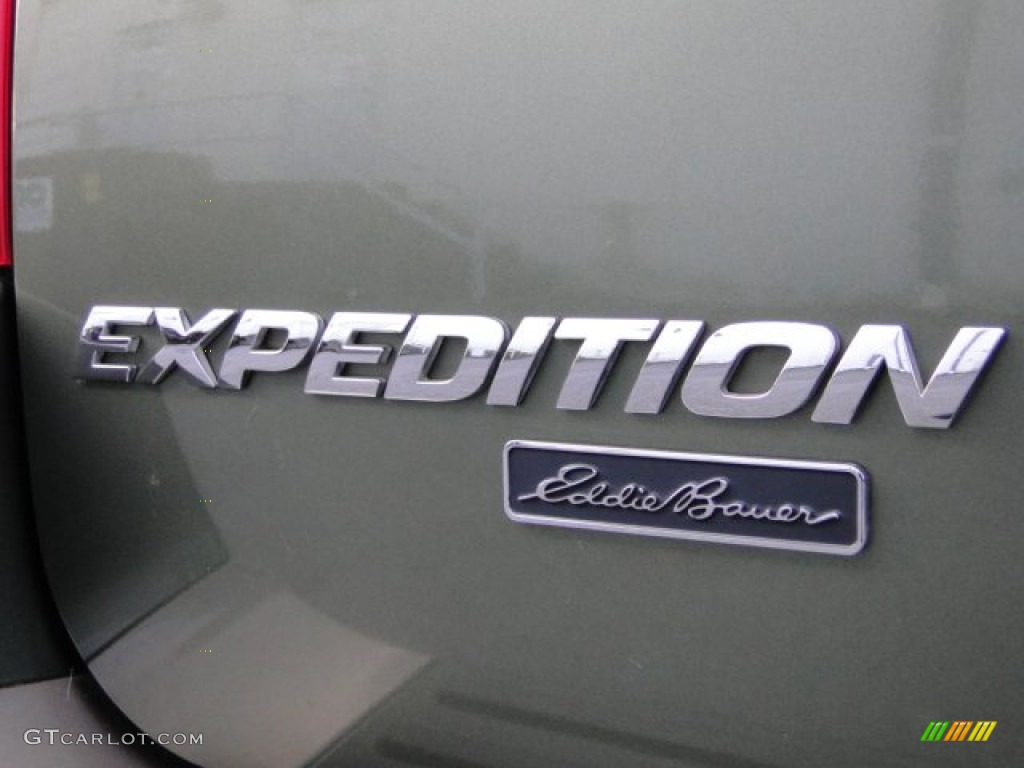 2003 Expedition Eddie Bauer - Estate Green Metallic / Medium Parchment photo #32