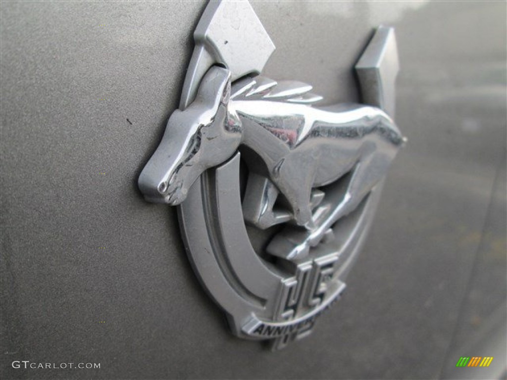 2009 Mustang GT Coupe - Vapor Silver Metallic / Dark Charcoal photo #3