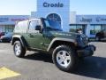 2007 Jeep Green Metallic Jeep Wrangler Rubicon 4x4  photo #1