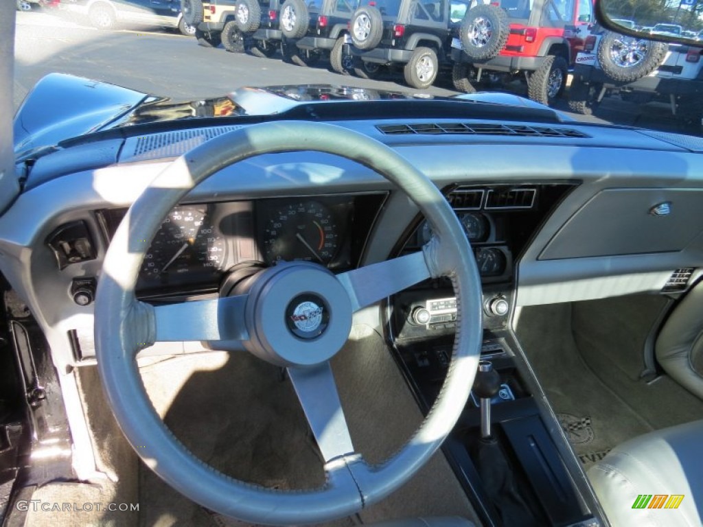 1978 Chevrolet Corvette Indianapolis 500 Pace Car Silver Dashboard Photo #88803308