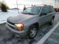 Graystone Metallic - TrailBlazer LS 4x4 Photo No. 3