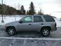 Graystone Metallic - TrailBlazer LS 4x4 Photo No. 4