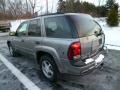 Graystone Metallic - TrailBlazer LS 4x4 Photo No. 5