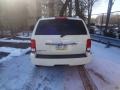 2008 Cool Vanilla Chrysler Aspen Limited 4WD  photo #11