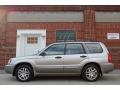 Crystal Gray Metallic - Forester 2.5 XS L.L.Bean Edition Photo No. 1
