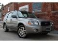Crystal Gray Metallic - Forester 2.5 XS L.L.Bean Edition Photo No. 2