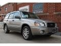 Crystal Gray Metallic - Forester 2.5 XS L.L.Bean Edition Photo No. 10