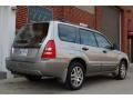 Crystal Gray Metallic - Forester 2.5 XS L.L.Bean Edition Photo No. 12