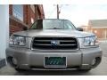 Crystal Gray Metallic - Forester 2.5 XS L.L.Bean Edition Photo No. 18