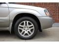 Crystal Gray Metallic - Forester 2.5 XS L.L.Bean Edition Photo No. 24