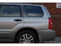Crystal Gray Metallic - Forester 2.5 XS L.L.Bean Edition Photo No. 27