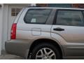 Crystal Gray Metallic - Forester 2.5 XS L.L.Bean Edition Photo No. 28