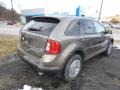 2013 Mineral Gray Metallic Ford Edge SEL AWD  photo #8