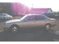 Beige Metallic - LS 400 Photo No. 2