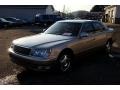Beige Metallic - LS 400 Photo No. 38