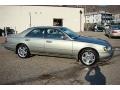 Tuscan Beige Metallic - Q 45 Touring Photo No. 10