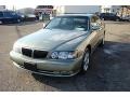 Tuscan Beige Metallic - Q 45 Touring Photo No. 14