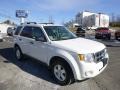 White Suede 2012 Ford Escape XLT V6 4WD