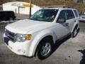 White Suede - Escape XLT V6 4WD Photo No. 6