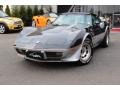 Silver/Black - Corvette Indianapolis 500 Pace Car Photo No. 3