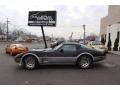 Silver/Black - Corvette Indianapolis 500 Pace Car Photo No. 4