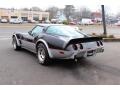 Silver/Black - Corvette Indianapolis 500 Pace Car Photo No. 5