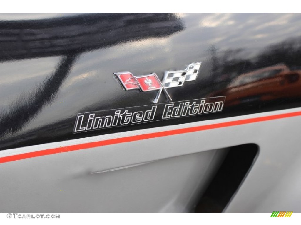 1978 Chevrolet Corvette Indianapolis 500 Pace Car Marks and Logos Photo #88851562
