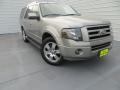 Vapor Silver Metallic - Expedition Limited Photo No. 2