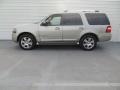 Vapor Silver Metallic - Expedition Limited Photo No. 6