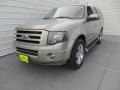 Vapor Silver Metallic - Expedition Limited Photo No. 7