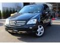 Black - ML 350 4Matic Photo No. 3