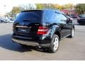 Black - ML 350 4Matic Photo No. 7