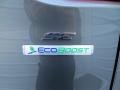 2014 Sterling Gray Ford Escape SE 1.6L EcoBoost  photo #15