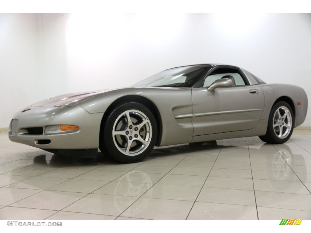 Light Pewter Metallic 2002 Chevrolet Corvette Coupe Exterior Photo #88859077