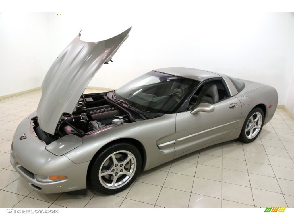 Light Pewter Metallic 2002 Chevrolet Corvette Coupe Exterior Photo #88859293