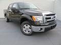 Tuxedo Black 2014 Ford F150 XLT SuperCrew Exterior